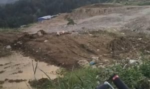 Aktivitas PETI Terus Leluasa di Mitra, Diduga Oknum Petinggi Polres Mitra Terima Upeti Bulanan